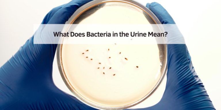 What Does Bacteria in the Urine Mean