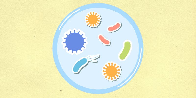 My Personal Experience