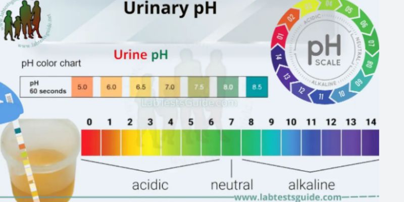 What Does Blood in Urine Mean