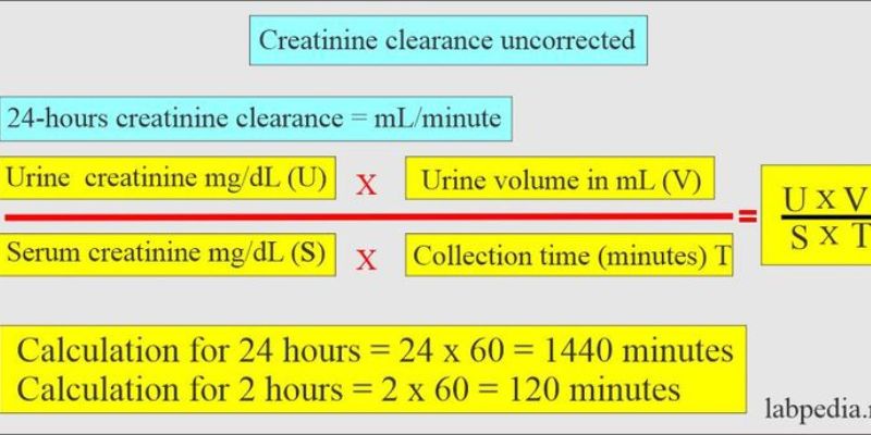 What Is Normal Creatinine Level in Urine