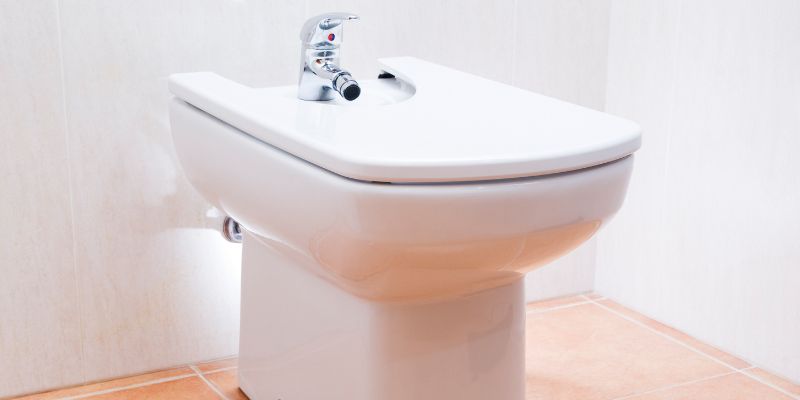 A Quick History of Bidets