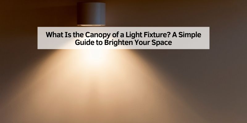 What Is the Canopy of a Light Fixture
