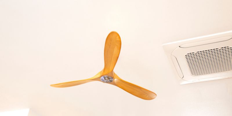 Why I Love Replacing Ceiling Fans