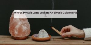 Why Is My Salt Lamp Leaking? A Simple Guide to Fix It