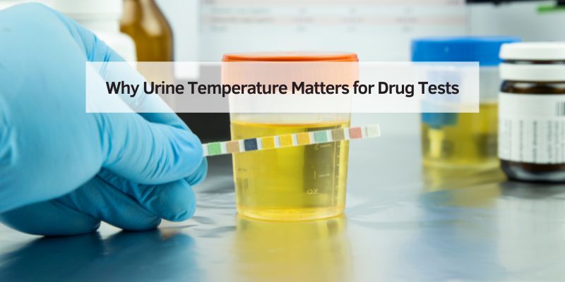 Why Urine Temperature Matters for Drug Tests