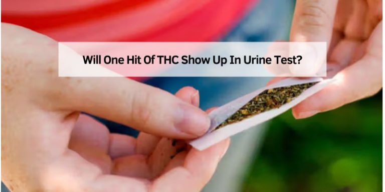 Will One Hit Of THC Show Up In Urine Test