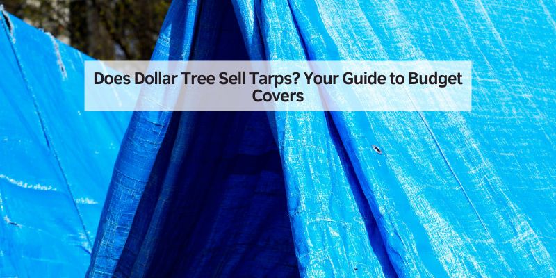 Does Dollar Tree Sell Tarps
