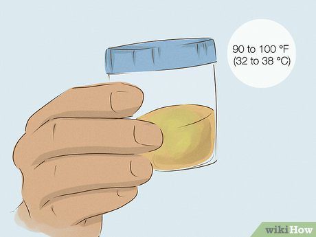 How to Keep Urine Fresh for a Drug Test