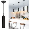 DAKASON black LED industrial pendant light