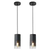 2-pack adjustable black mini pendant lights