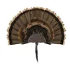Allen Company EZ Mount stackable turkey fan and beard display