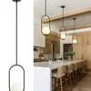 black globe glass pendant light fixture