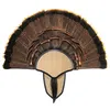 Basic turkey tail beard mounting kit