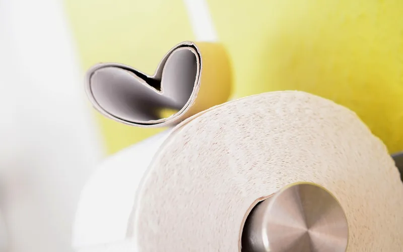 toilet paper roll on holder representing proper toilet disposal habits toilet paper roll on holder representing proper toilet disposal habits