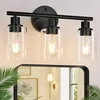 Zarbitta 3-Light Black Bathroom Vanity Light
