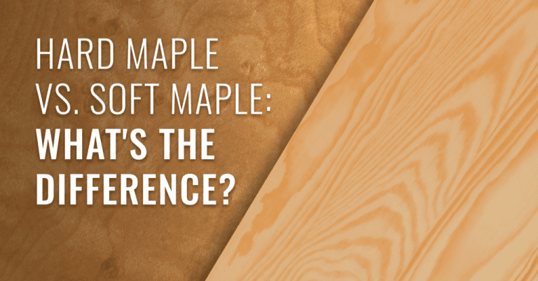 Hard Maple Vs Soft Maple Trees