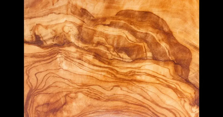 Glossy oiled wood grain surface showing an oil finish on wood