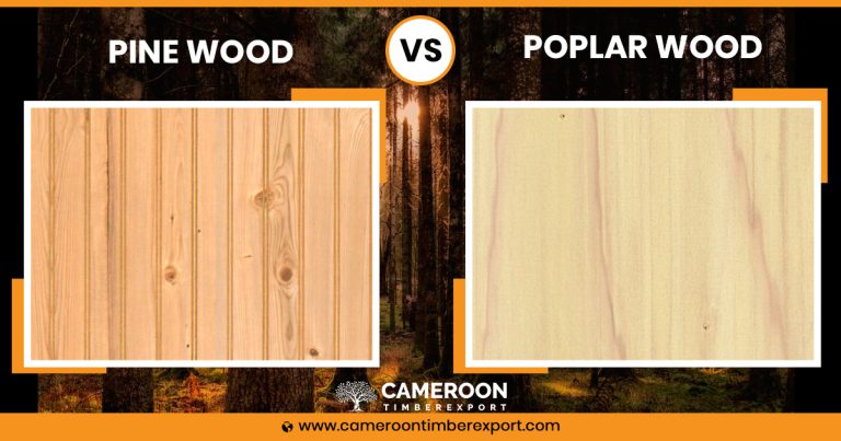 Poplar Trim Vs Pine