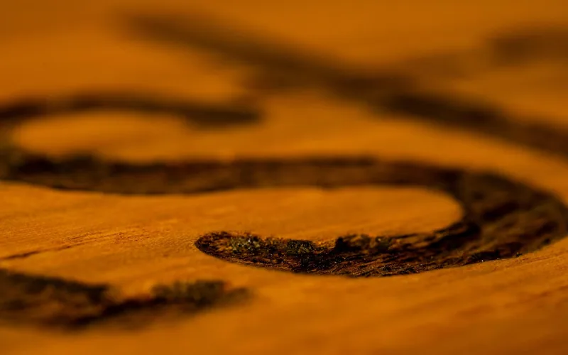 Wood stain applied showing color depth and grain enhancement Wood stain applied showing color depth and grain enhancement
