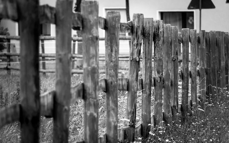 Row of wooden fence posts along a property line