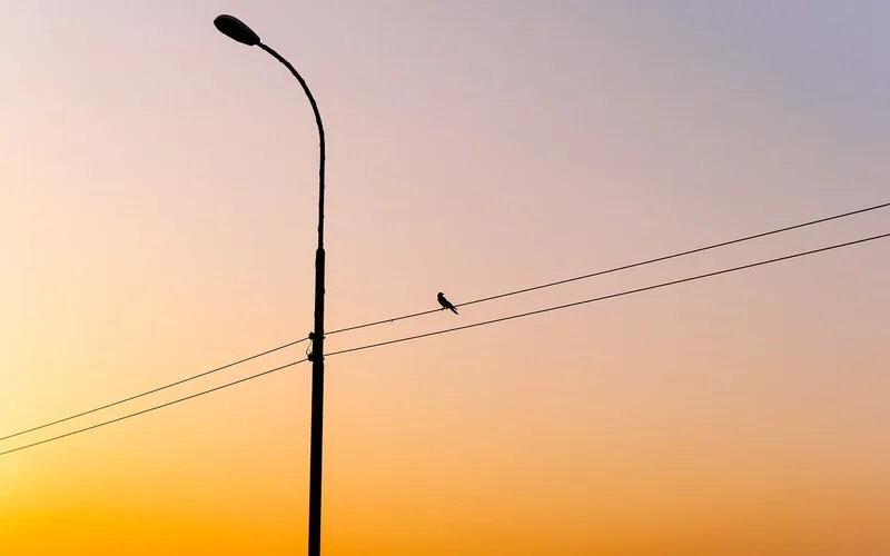 street light silhouette against a dusk sky as it activates