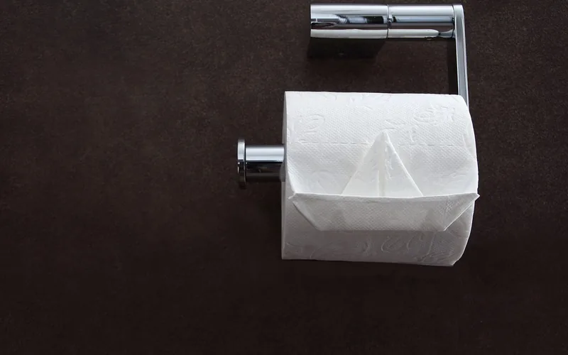 full toilet paper roll mounted on a chrome fixed-post holder
