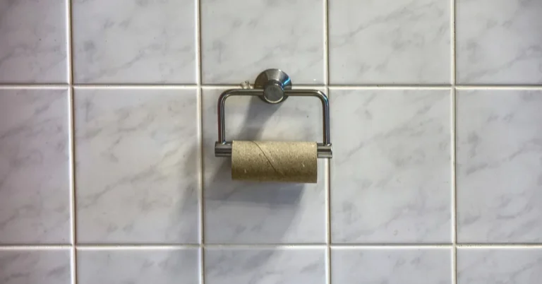 empty cardboard toilet paper tube left on a wall-mounted holder in a tiled bathroom