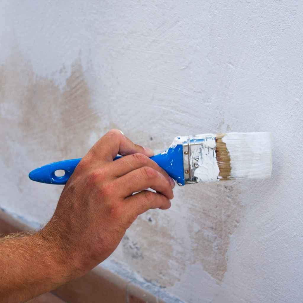Do You Wet a Paint Brush Before Painting a Wall