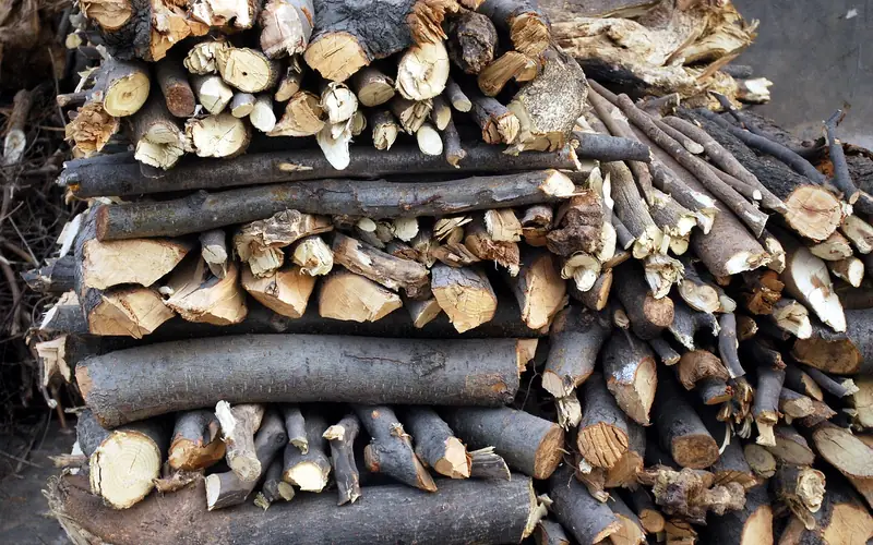 stack of seasoned firewood logs drying outdoors before burning