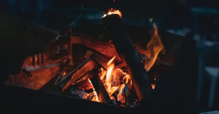 Can You Burn Pressure-Treated Wood Safely? (EPA Arsenic Facts)