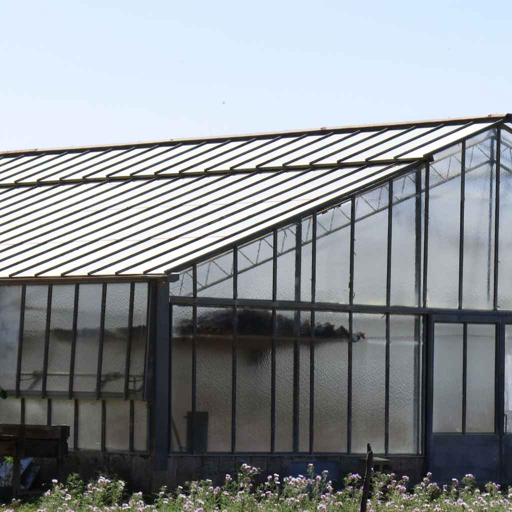 Maintaining Your Greenhouse Plastic