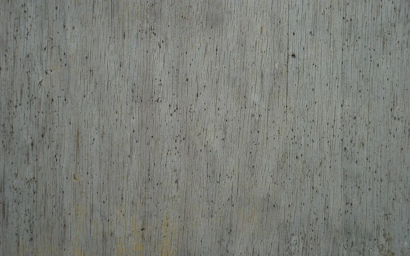 close-up texture of moldy, rotting wood grain showing early-stage decay