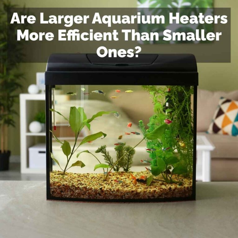 Are Larger Aquarium Heaters More Efficient Than Smaller Ones?