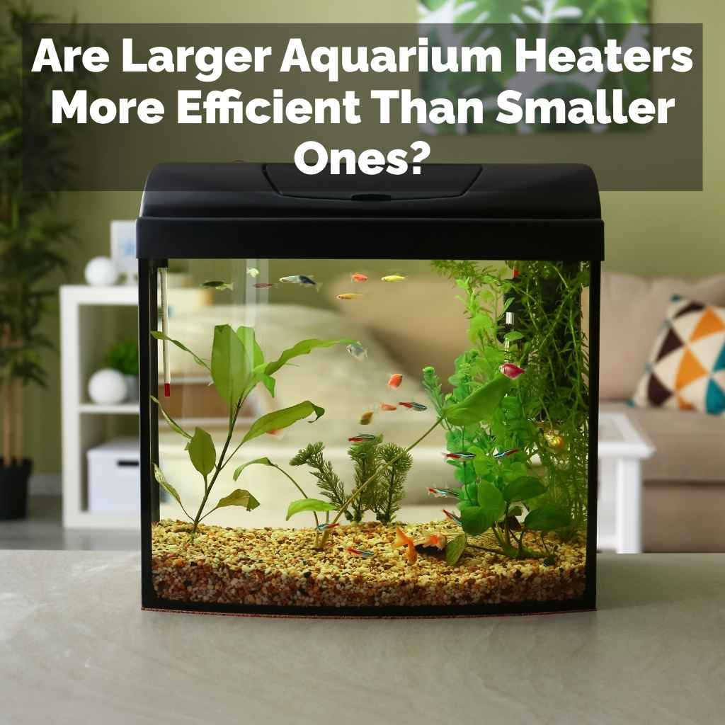 Are Larger Aquarium Heaters More Efficient Than Smaller Ones?