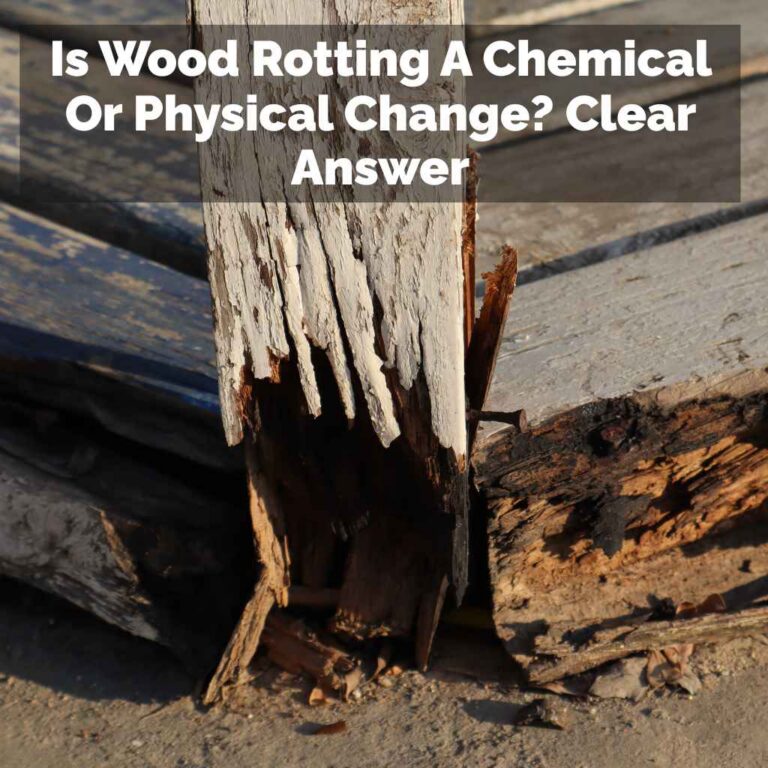 Is Wood Rotting A Chemical Or Physical Change