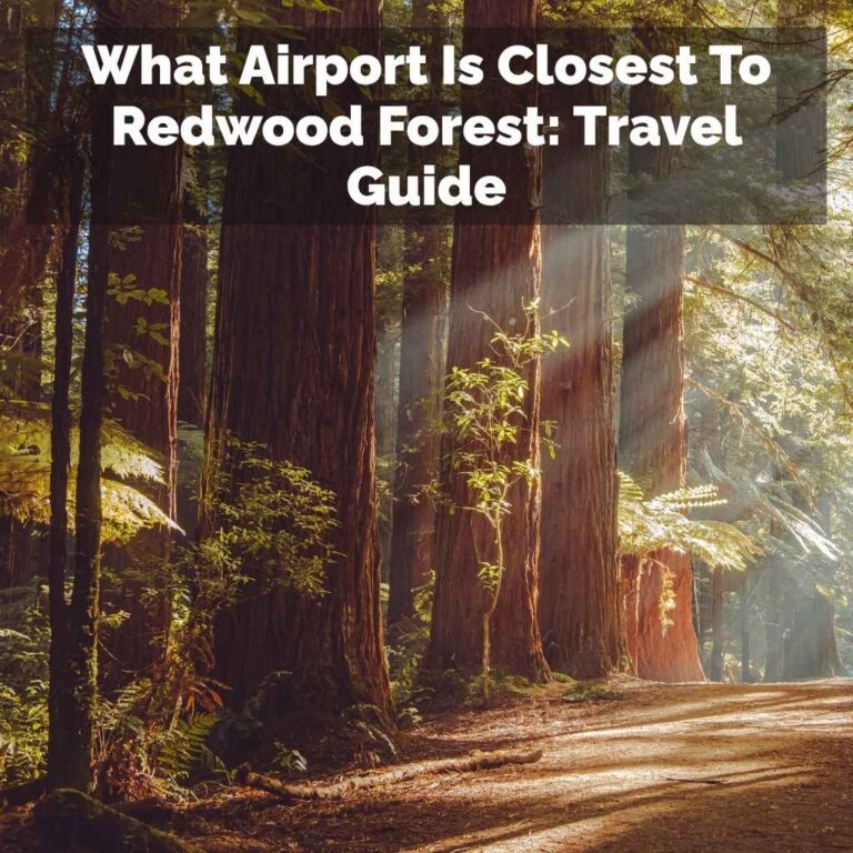 What Airport Is Closest To Redwood Forest