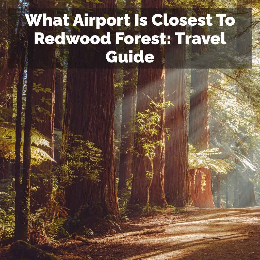 What Airport Is Closest To Redwood Forest