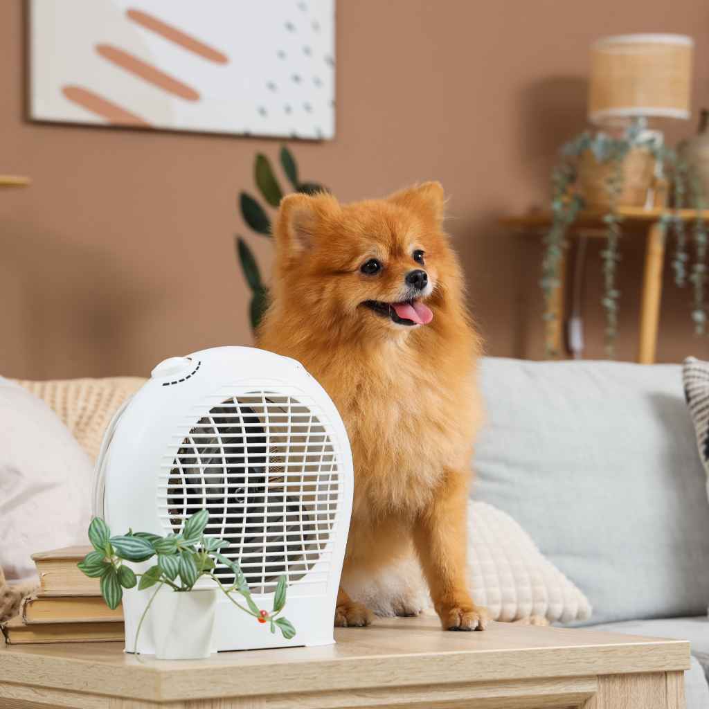Quick Tips for Using Your Heater Wisely