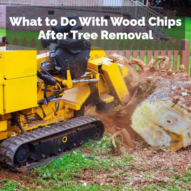What to Do With Wood Chips After Tree Removal