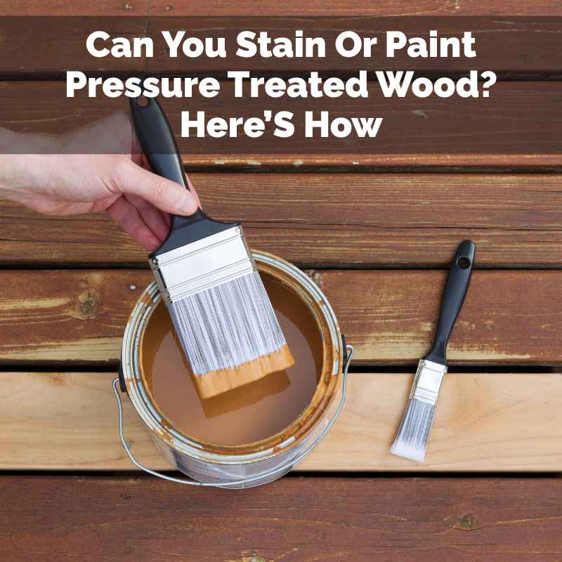 Can You Stain Or Paint Pressure Treated Wood
