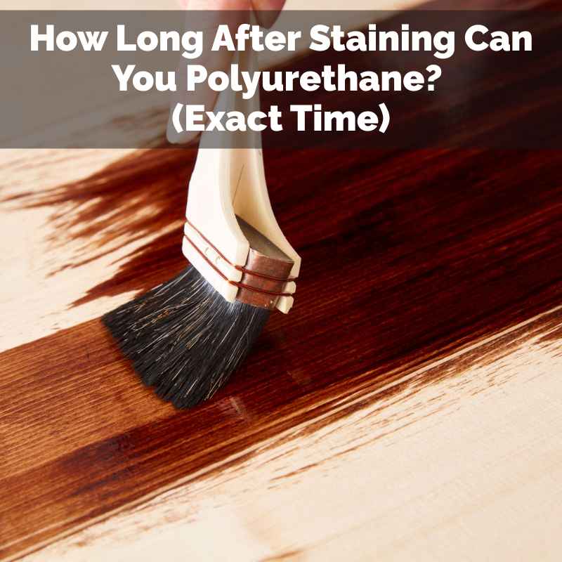 How Long After Staining Can You Polyurethane