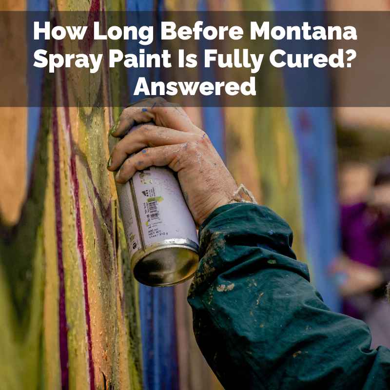 How Long Before Montana Spray Paint Is Fully Cured