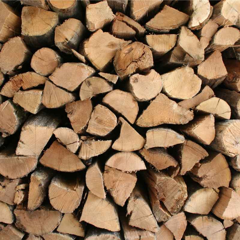 Quick Tips for Saving Money on Firewood