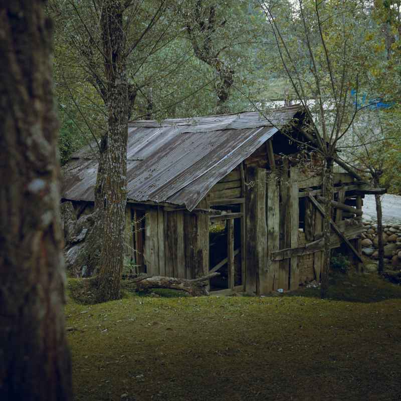 The Enduring Legacy of "Little House"
