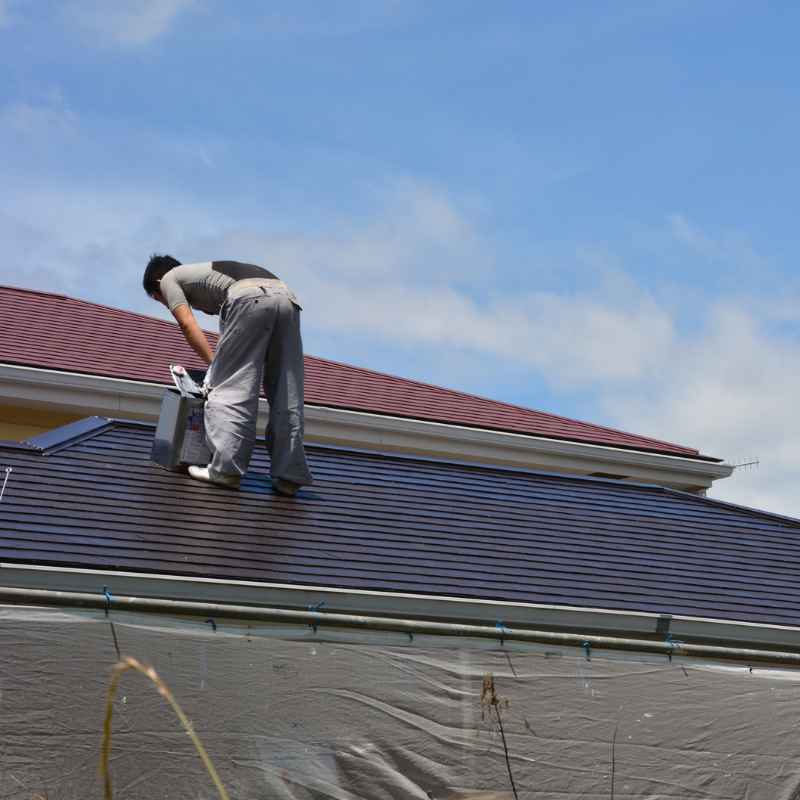 Understanding Metal Roof Painting