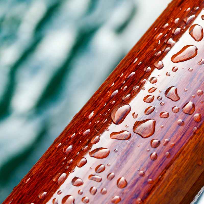 Understanding Wood and the Outdoors