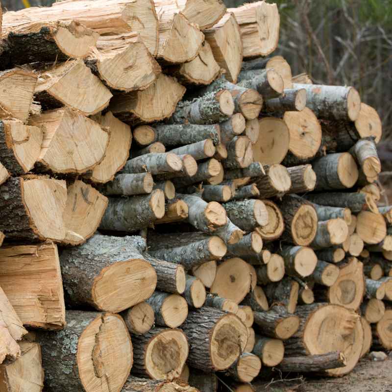 Understanding the Cost of a Cord of Wood