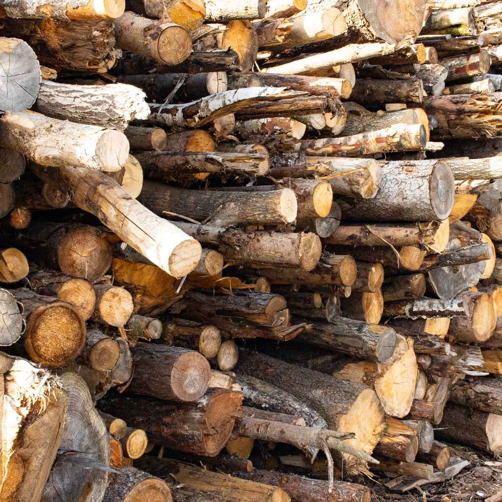 What is Firewood Seasoning?
