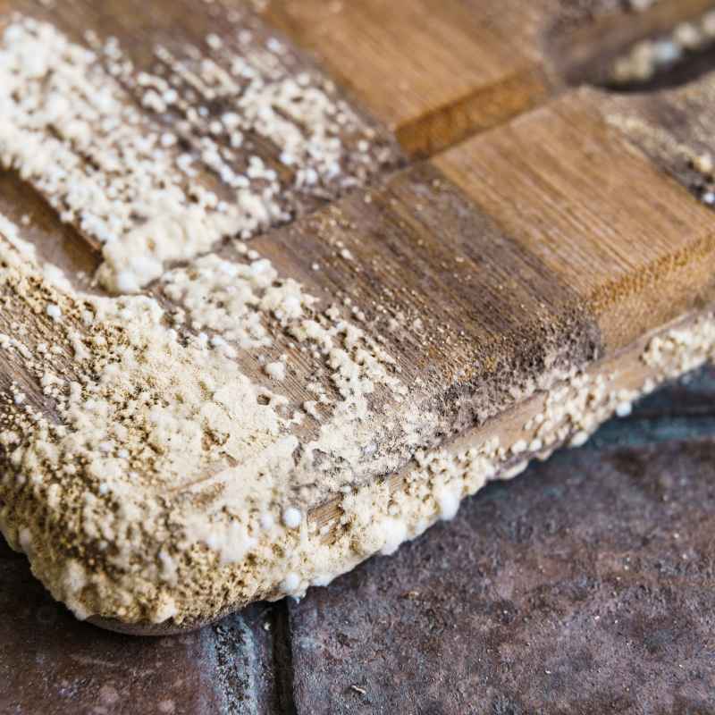 What is Mold and Why Does it Love Cutting Boards?