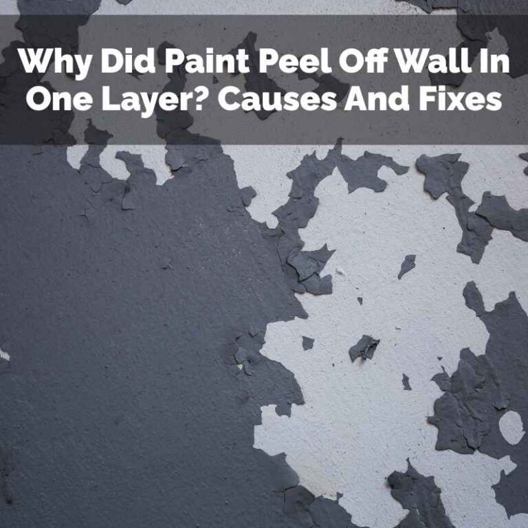 Why Did Paint Peel Off Wall In One Layer